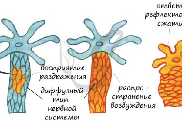 Кракен нарко