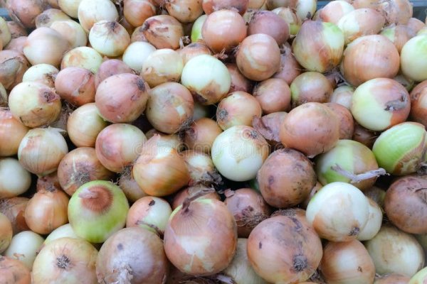 Kraken onion вход