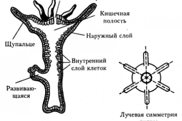 Кракен рабочая ссылка тор