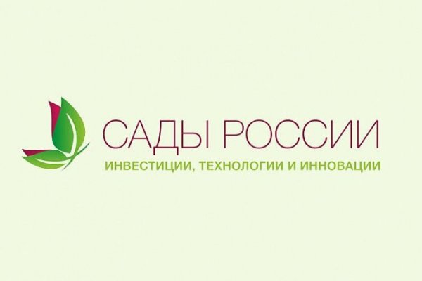 Кракен верное зеркало