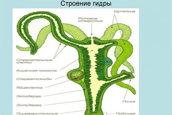 Кракен последние ссылки