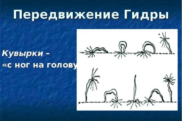 Магазин наркоты
